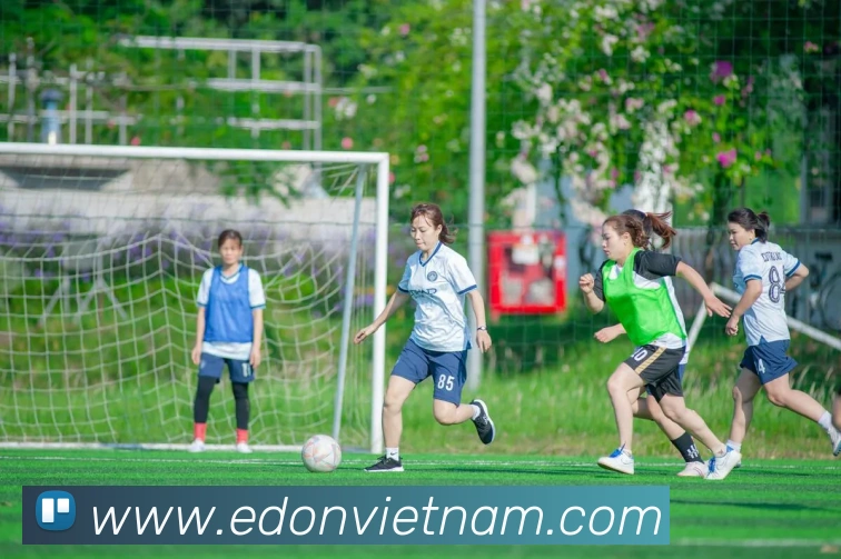 对战数据统计